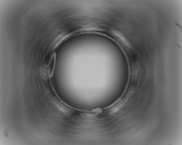 X0000096681361200802051236