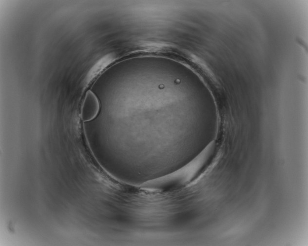 X0000096681362200802051236