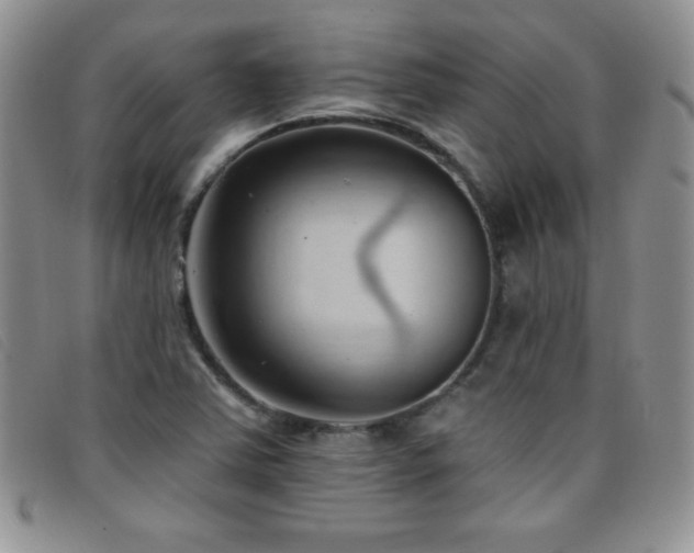 X0000096681363200802051236