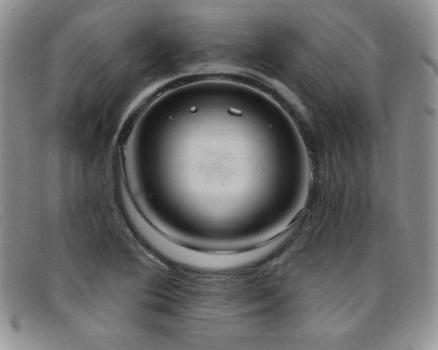 X0000096681364200802051236