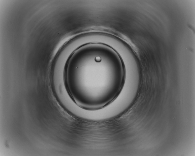 X0000096681368200802051236