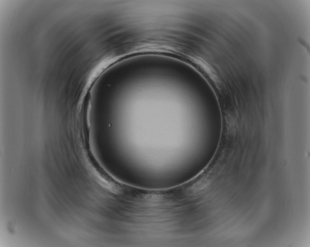 X0000096681371200802051236
