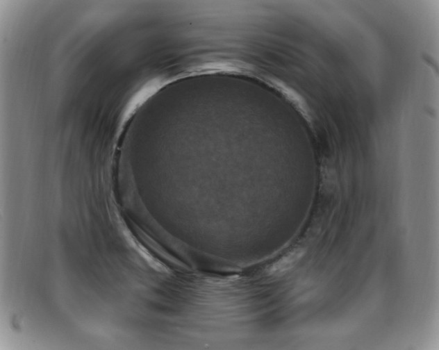X0000096681373200802051236