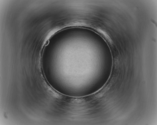 X0000096681374200802051236