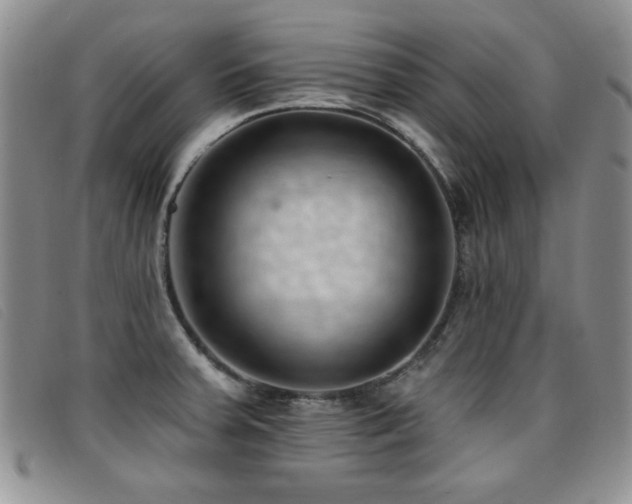 X0000096681379200802051236