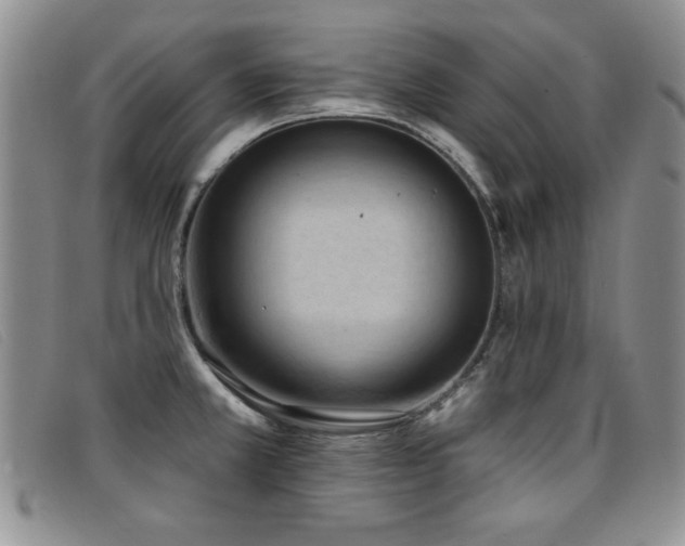 X0000096681381200802051236