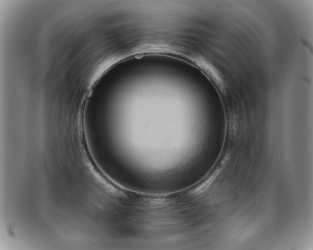 X0000096681382200802051236