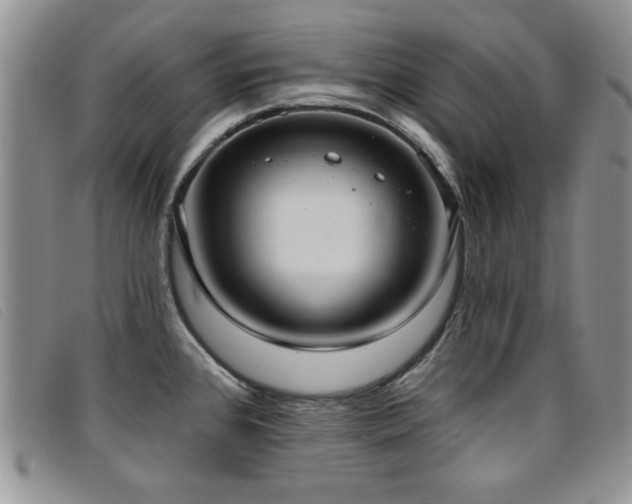 X0000096681384200802051236