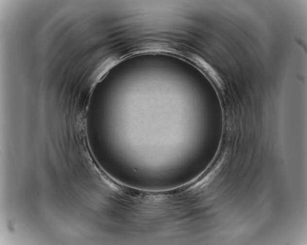 X0000096681385200802051236