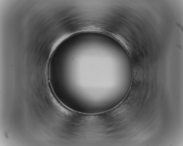 X0000096681387200802051236