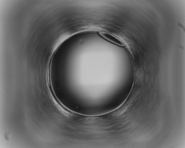 X0000096681391200802051236
