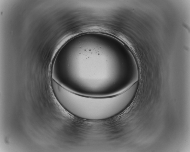 X0000096681392200802051236
