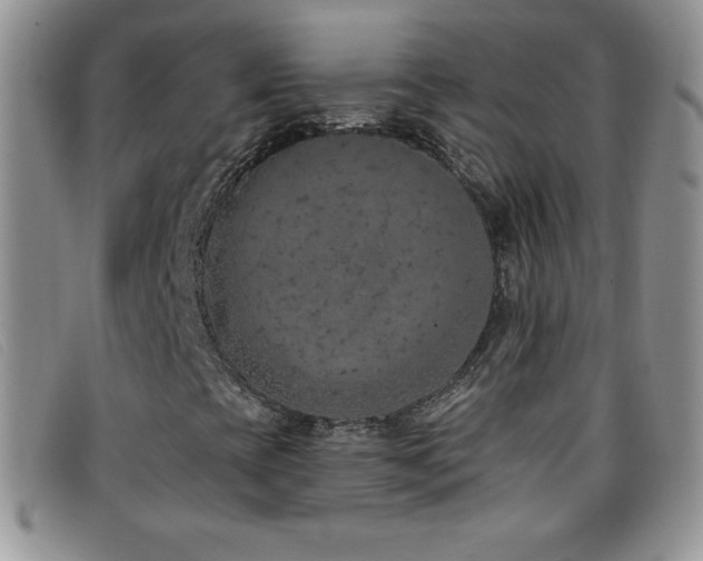 X0000096681393200802051235