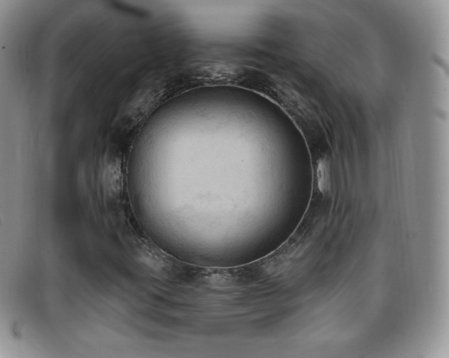 X0000096681395200802051235