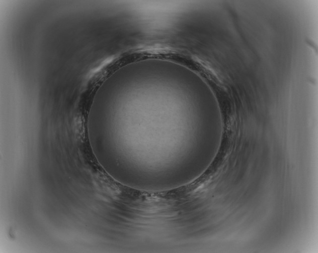 X0000096681398200802051235