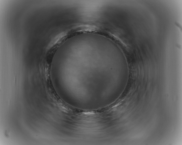 X0000096681399200802051235