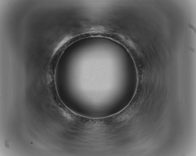 X0000096681400200802051235