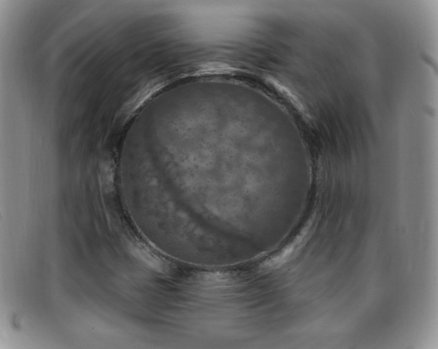 X0000096681401200802051235