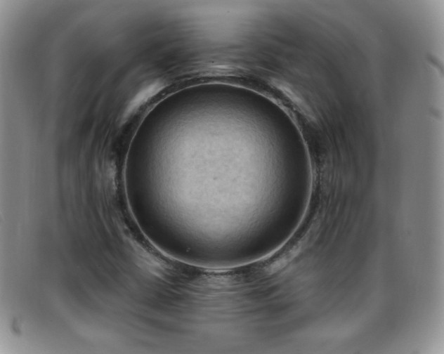 X0000096681402200802051235