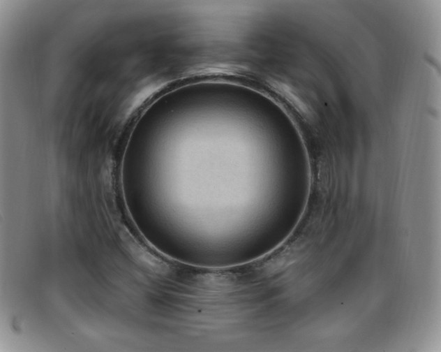 X0000096681404200802051235