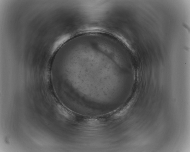 X0000096681405200802051235