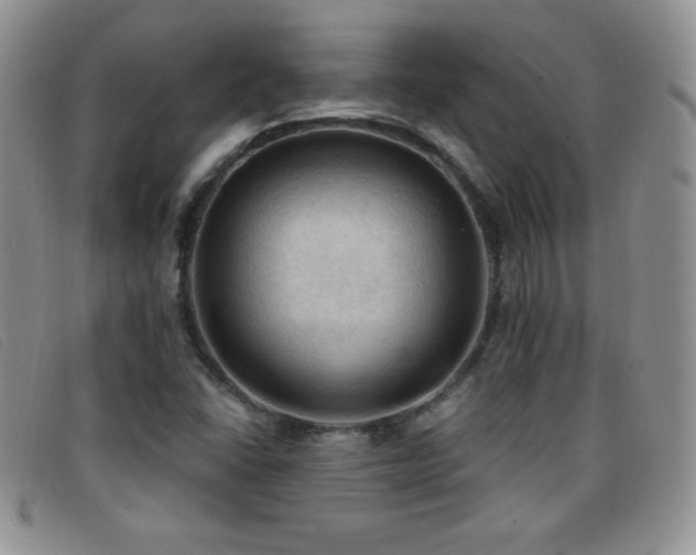 X0000096681406200802051235