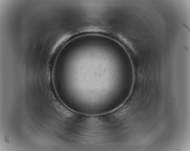 X0000096681408200802051235