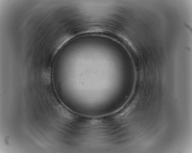 X0000096681409200802051235