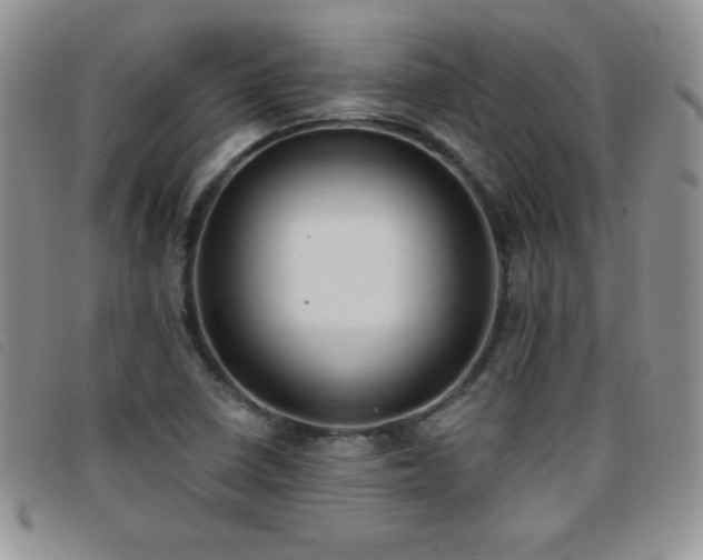X0000096681410200802051235