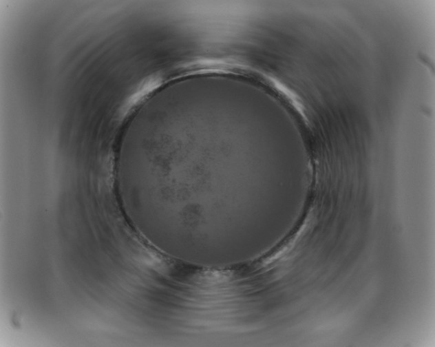 X0000096681411200802051235