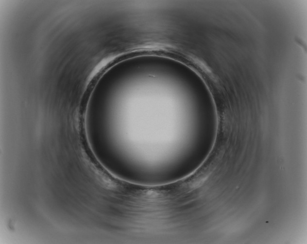 X0000096681412200802051235