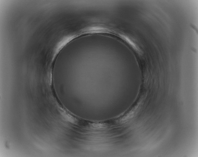 X0000096681413200802051235