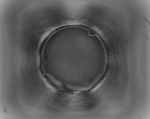 X0000096681414200802051235