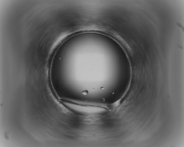 X0000096681416200802051235