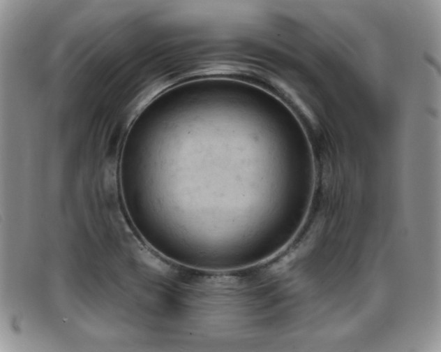 X0000096681417200802051235