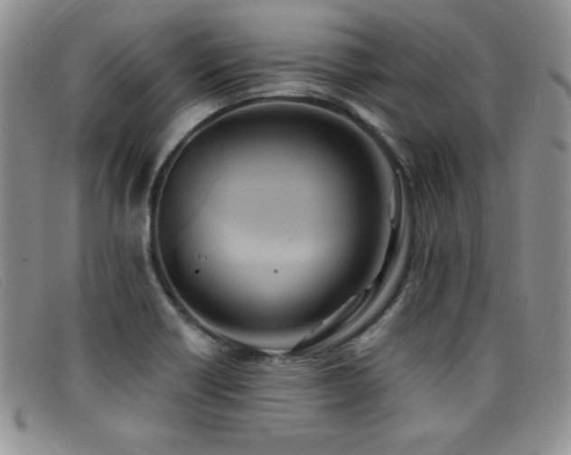 X0000096681418200802051235