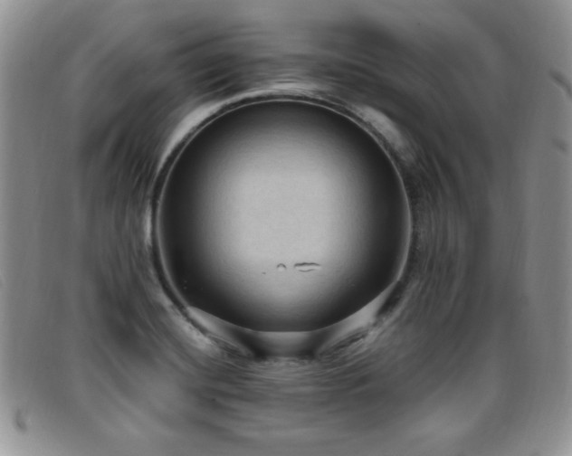 X0000096681420200802051235