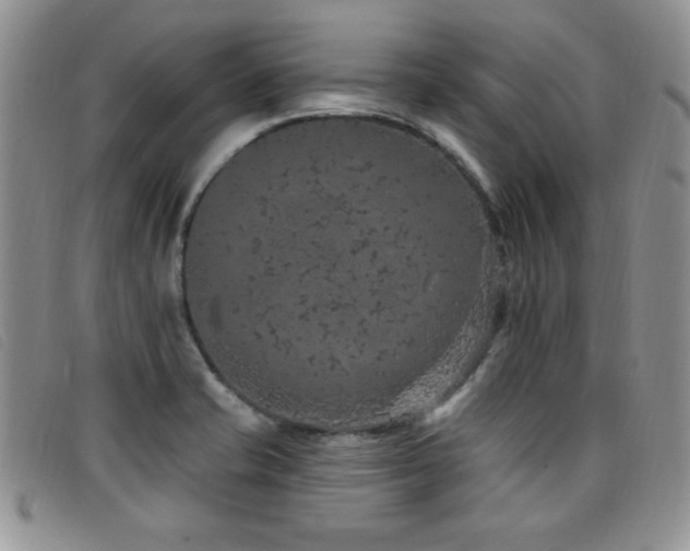 X0000096681421200802051235