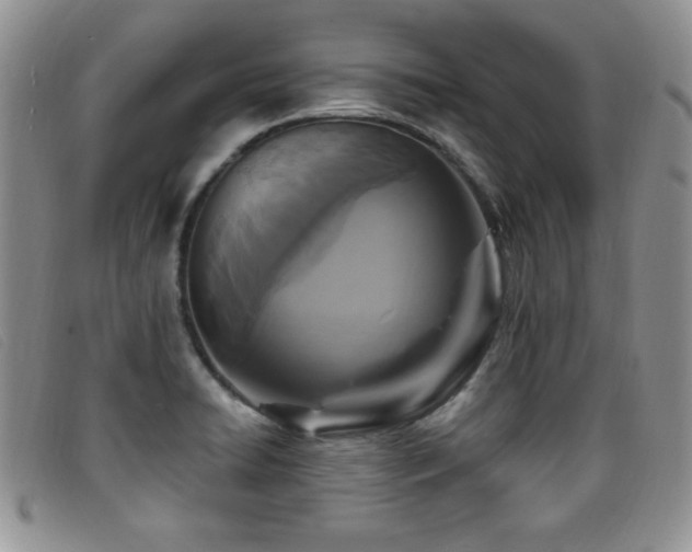 X0000096681422200802051235