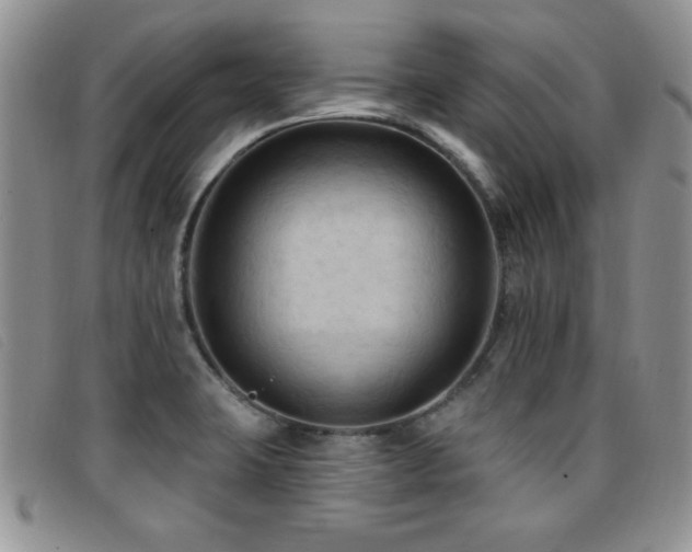 X0000096681423200802051235