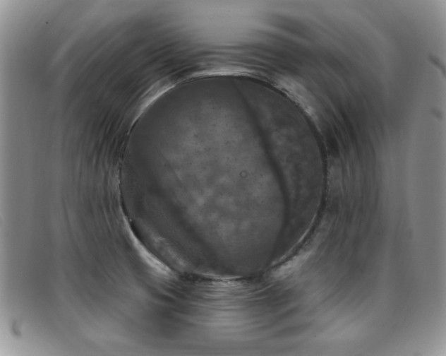 X0000096681425200802051235