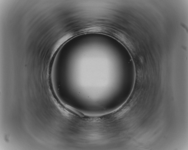 X0000096681426200802051235