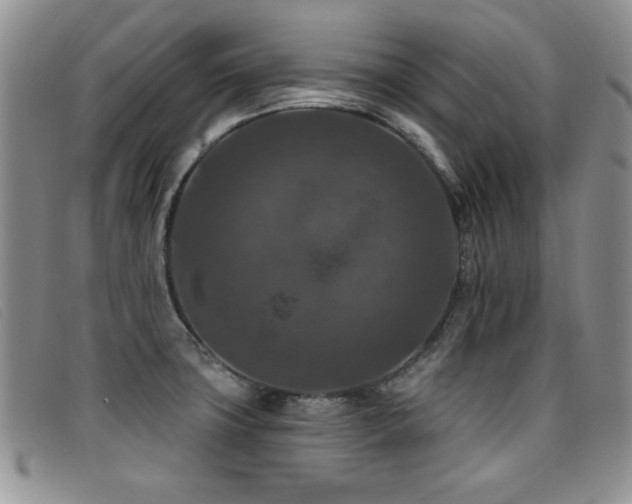 X0000096681427200802051235