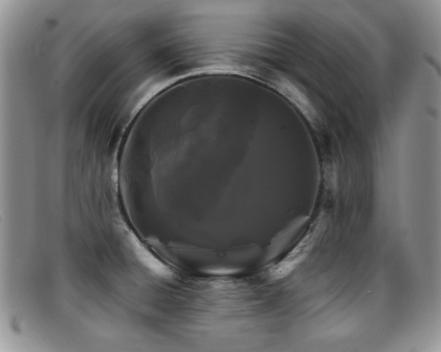 X0000096681428200802051235