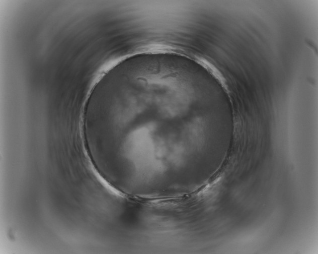 X0000096681429200802051235