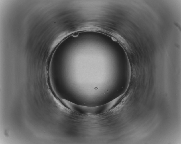 X0000096681430200802051236