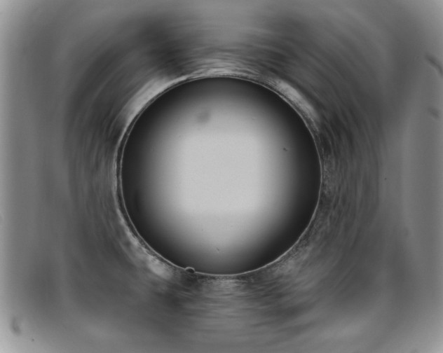 X0000096681431200802051236