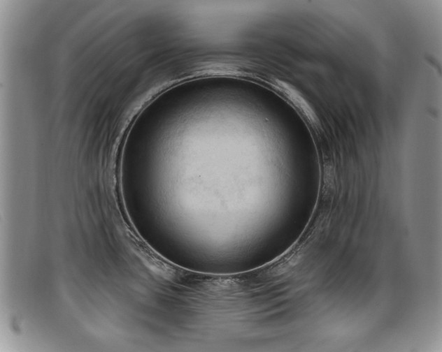 X0000096681435200802051236