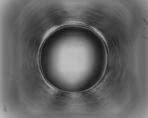 X0000096681437200802051236
