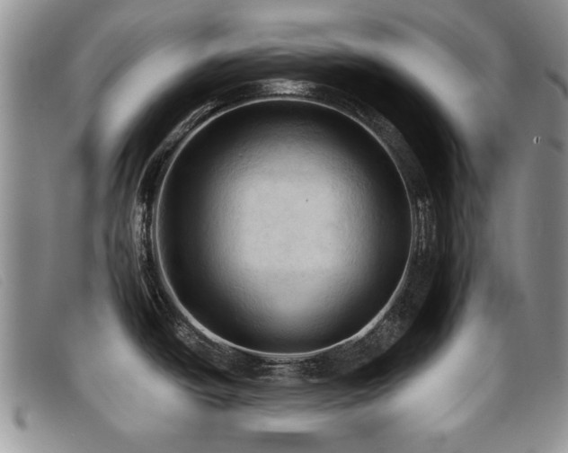 X0000096681438200802051236